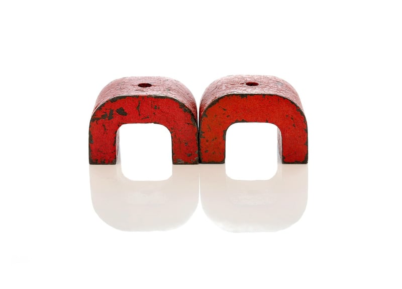 Magnet